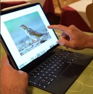 Kandidat bestimmt auf einem Laptop ein Vogelbild, Training für den Bilderteil der Jägerprüfung